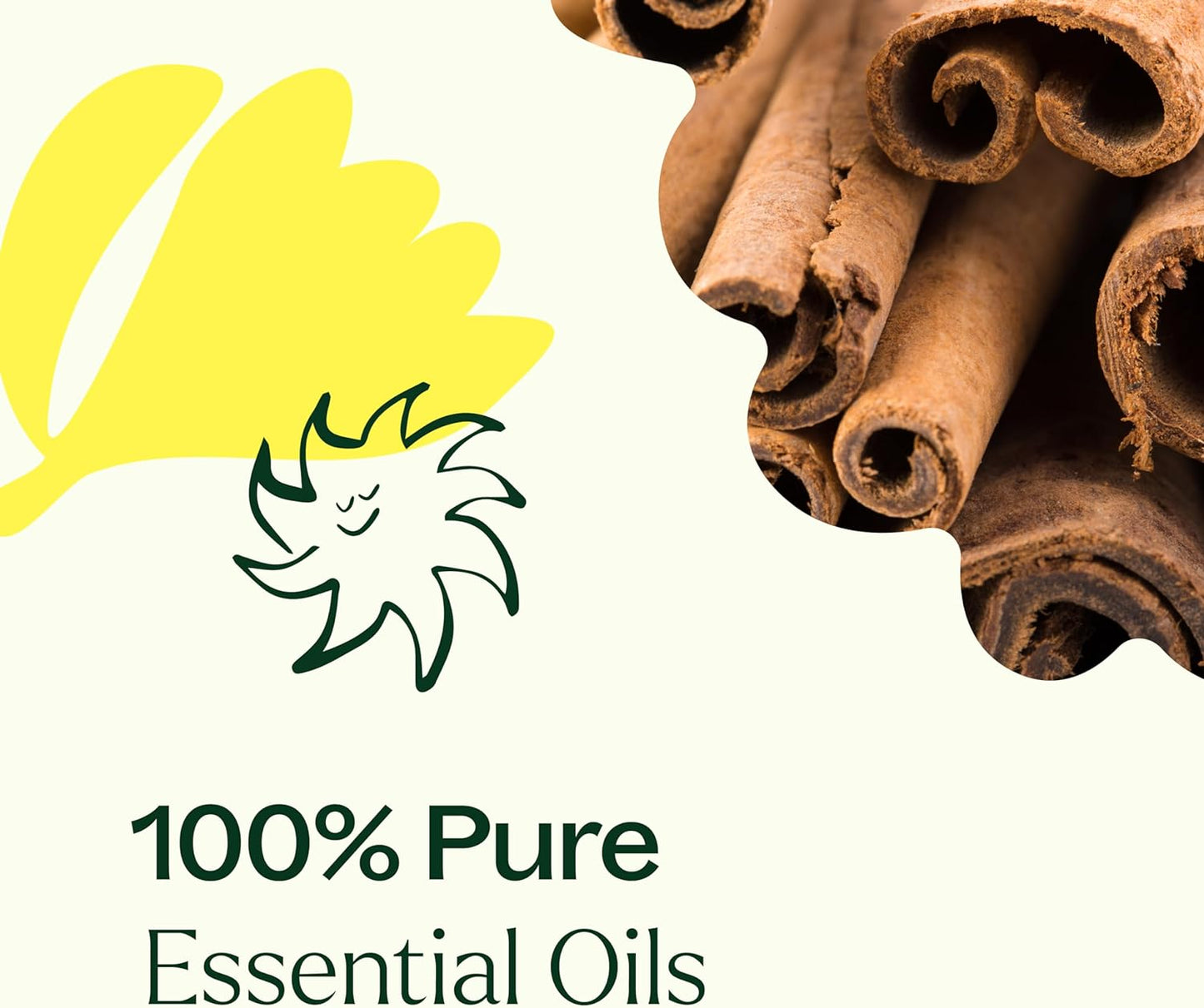 Plant Therapy All Purpose Cleaner and Bottle Set