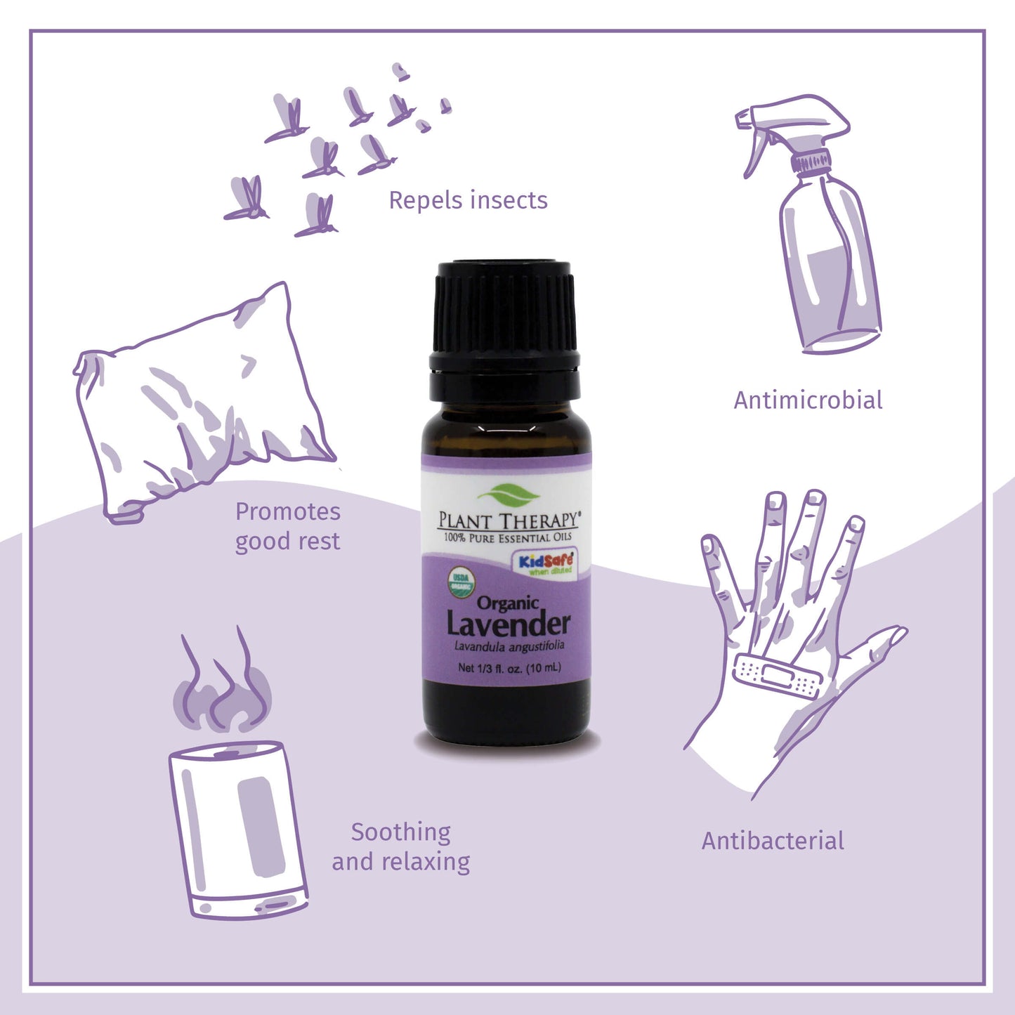 Organic Lavender Essential Oil