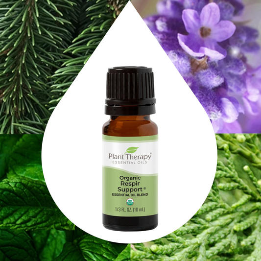 Organic Respir Support® Essential Oil Blend