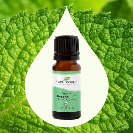 Organic Peppermint Essential Oil